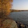 nadezhda