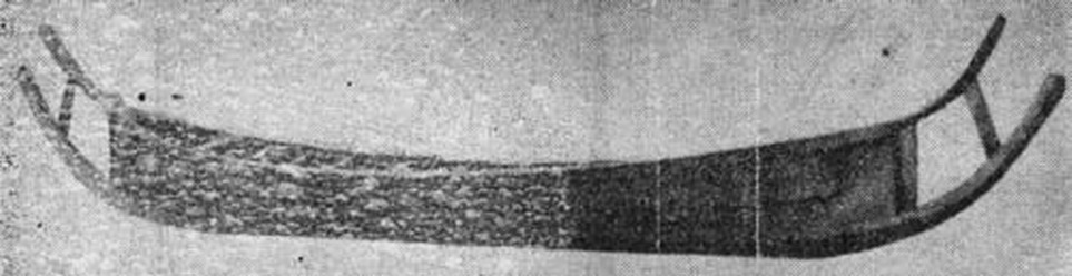 Викинги. Виктория и англо-саксонское завоевание Британии