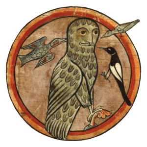 tartariainfo-300×300