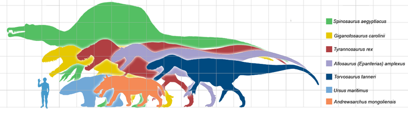 Вымер ли трилобит и какими были динозавры? -