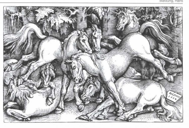 Hans Baldung. Sieben streitende Pferde.