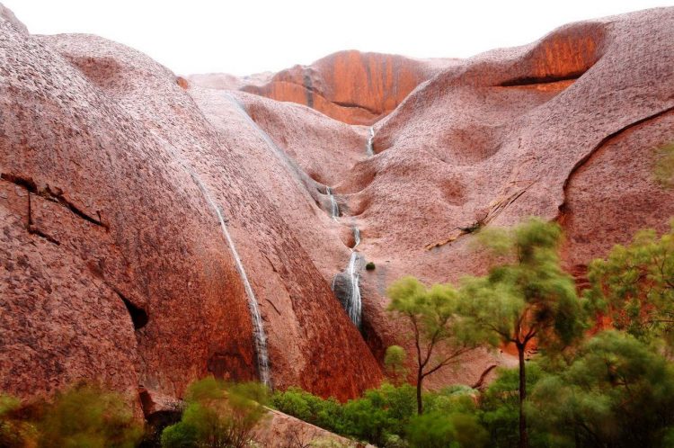 Národní park Uluru-Kata Tjuta, Austrálie, foto Mark Kolbe