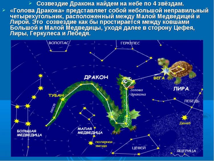 созвездие дракон