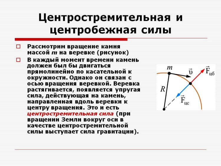 Гигантизм живых организмов прошлого. Притяжение -