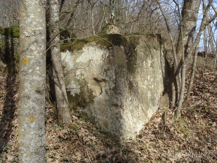 Фото Елены Метлицкой