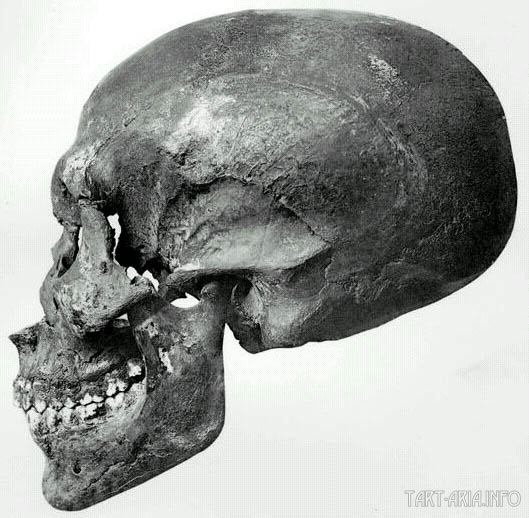 череп Эхнатона
