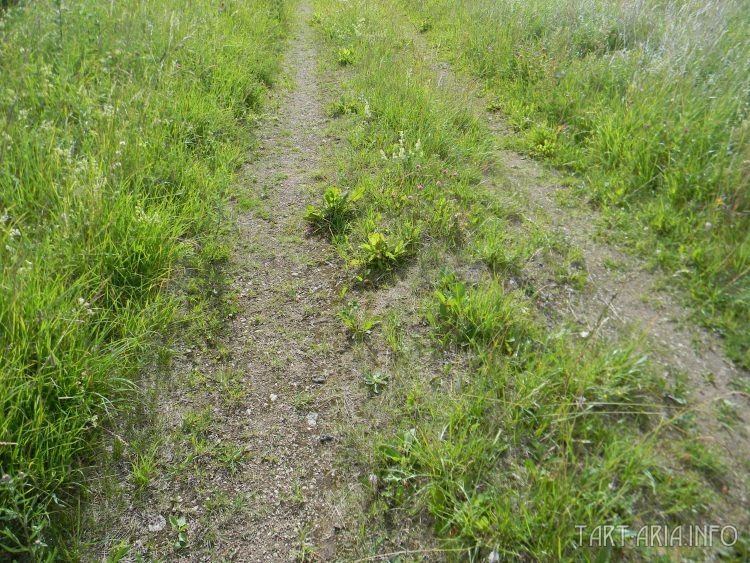 Шоссе в неизвестное прошлое - старые карты