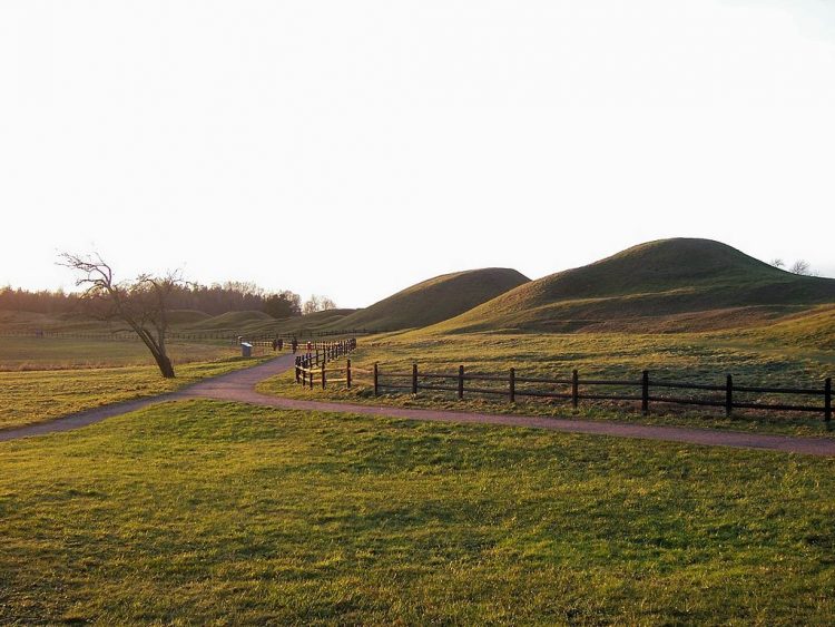 Uppsala Haugr