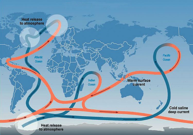 Всемирная циркуляция холодных и теплых вод.
