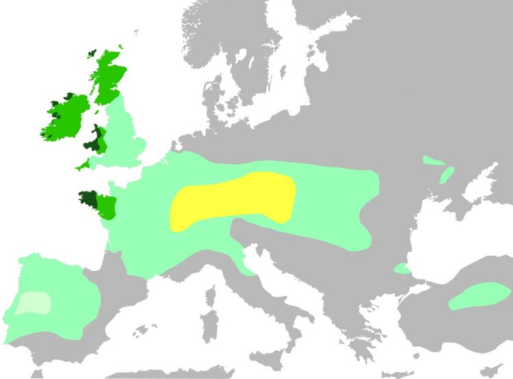 Современная карта распространения кельтов ранее и сейчас. Источник  