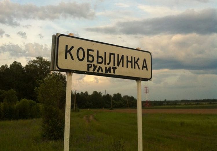 Последние из могикан - Последние из могикан -