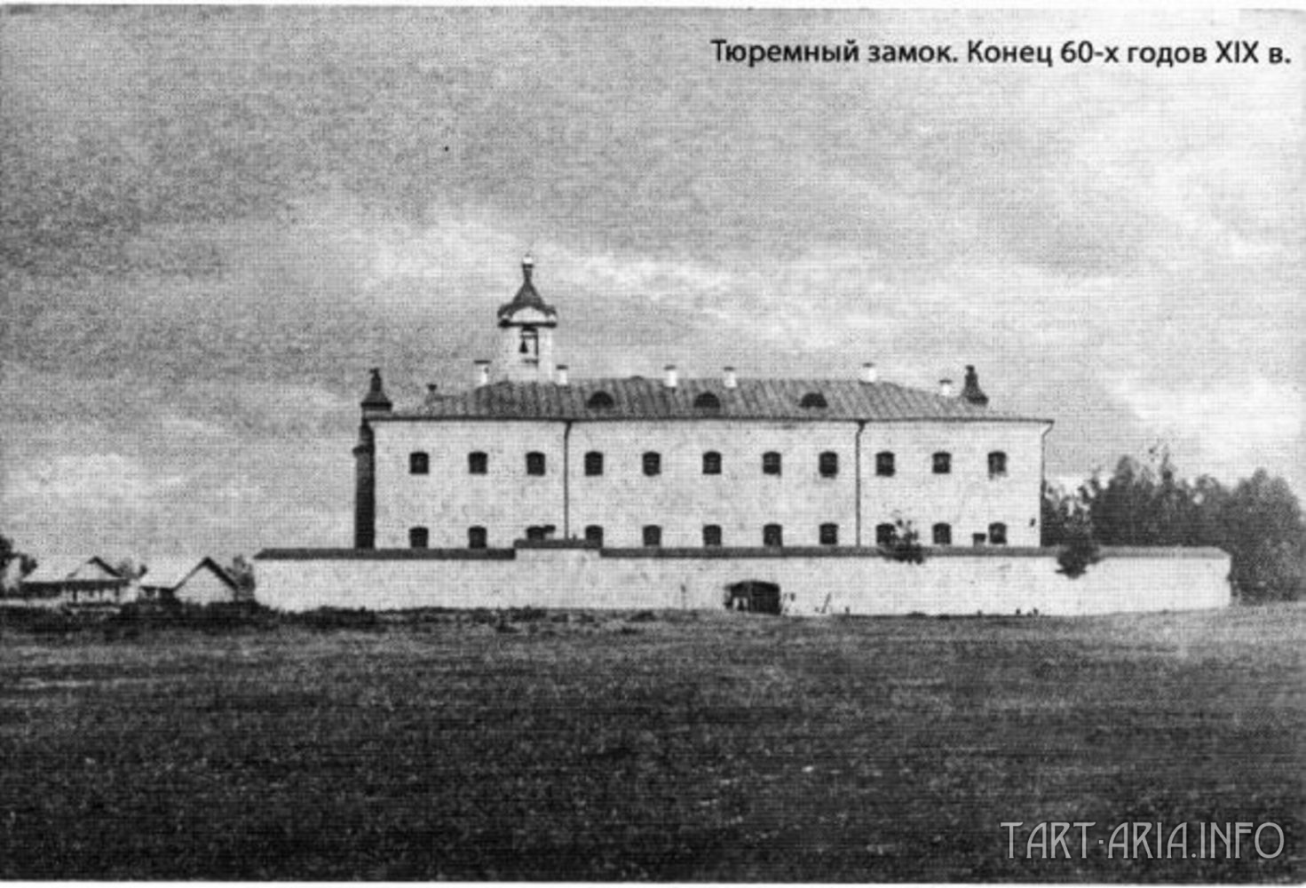 Танцуют все! - Танцуют все! -