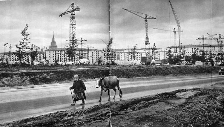 Дорогая моя. Столица - Дорогая моя. Столица -