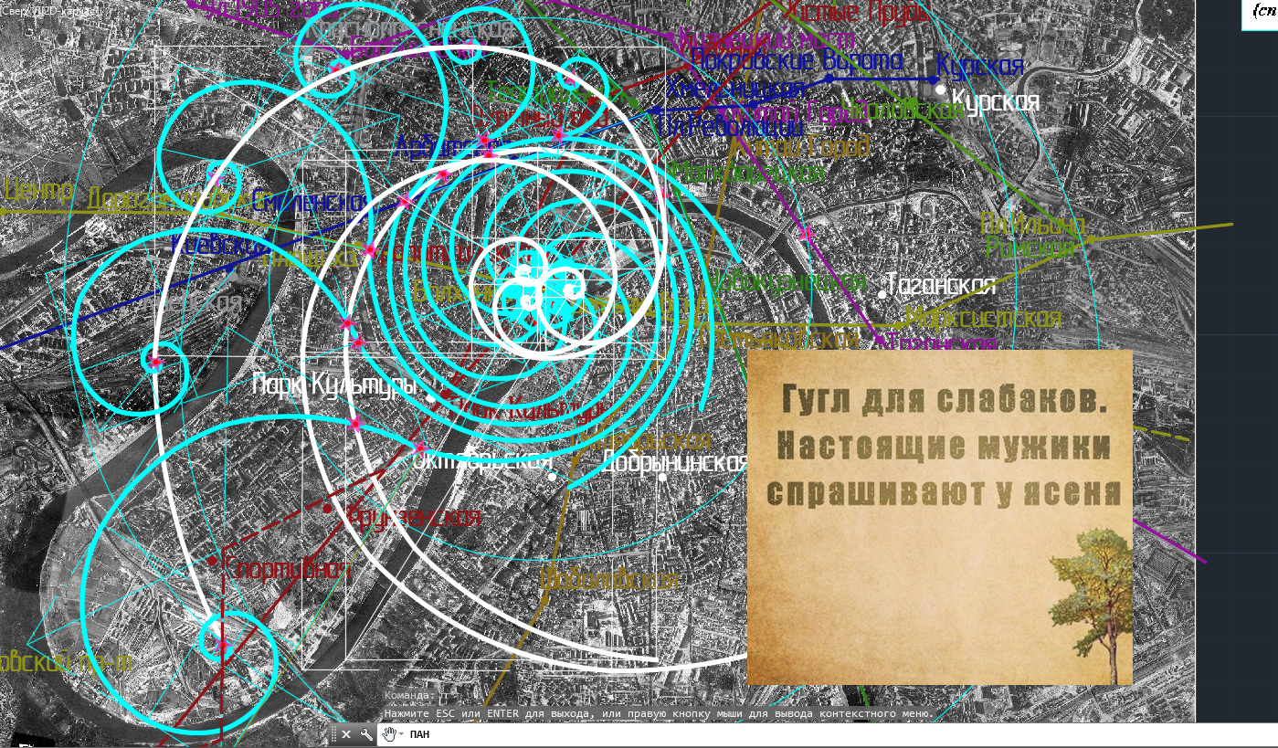 Дорогая моя. Столица - Дорогая моя. Столица -