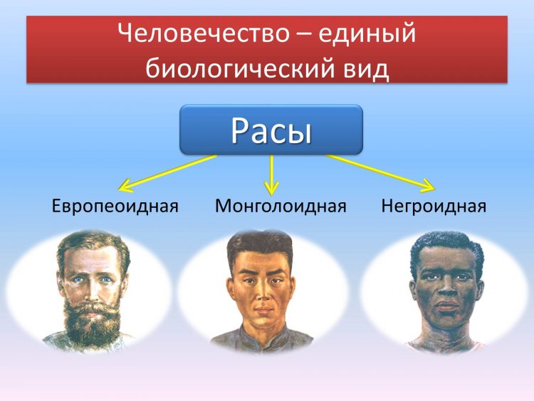 Апокалипсис XIX века. Подлинная история геноцида - здания занесенные грунтом, Ремезов, Тартария, Московия, потоп, подземные сооружения, война 1812 года, Санкт-Петербург, Славяне, Петр Первый, Иван Грозный, смена полюсов, Русь, татаро-монгольское иго, мамонты, крепостное право