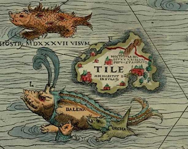 Фрагмент карты Carta Marina (XVI век). Туле обозначен как Tile
