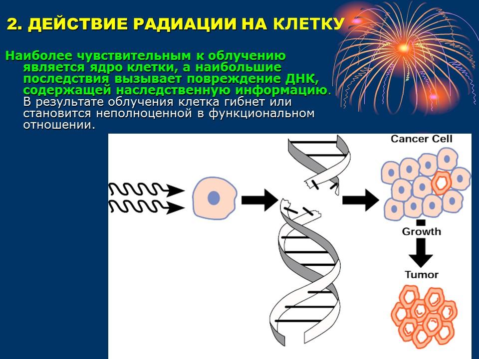 Непорочное зачатие девы Марии через ДНК -