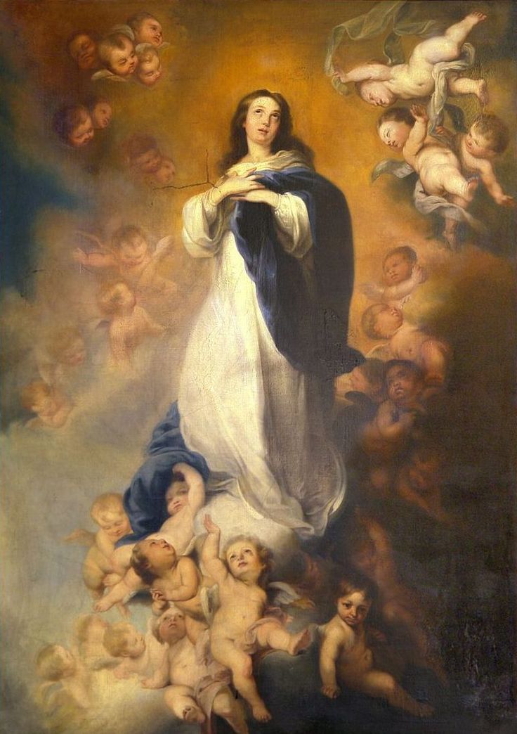 Immaculate Conception of the Virgin Mary through DNA -