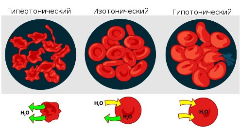 Соль Земли -