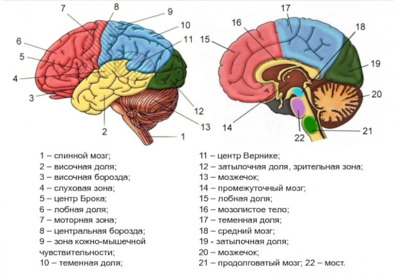 Психология, с точки зрения истории - энергетика прошлого, Тартария, потоп, здания занесенные грунтом, Боги славян